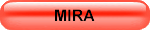 программное обеспечение MIRA